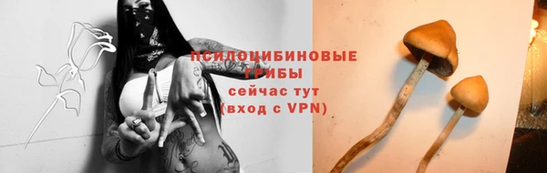 бошки Надым