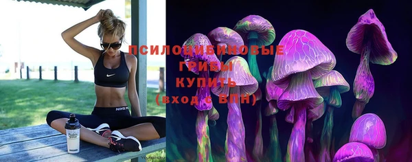 прущие крисы Михайловка