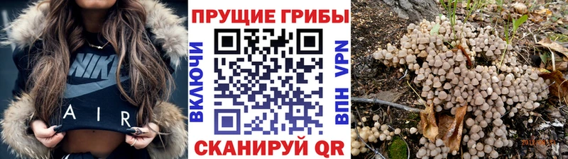 Галлюциногенные грибы MAGIC MUSHROOMS цена Инза